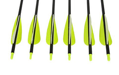 Premium Carbon Arrows 31.5"