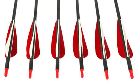 Premium Carbon Arrows 31.5"